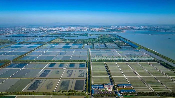 航拍高淳固城湖螃蟹核心區(qū)。高淳區(qū)融媒體中心供圖